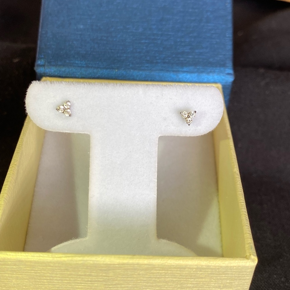 Titanium and Crystal earrings